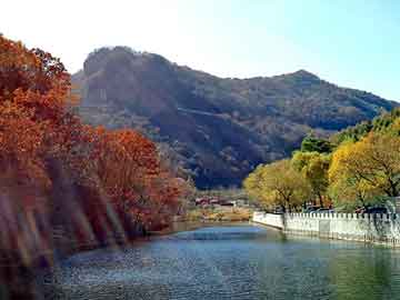 澳门二四六天天彩图库，电磁板